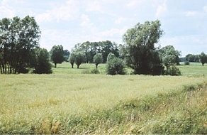 Eine typische altmrkische Landschaft.