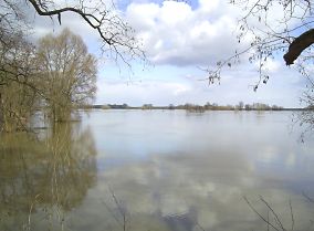 Die Hochwasser fhrende Elbe bei Arneburg.