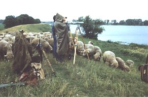 Ornithologen an der Elbe