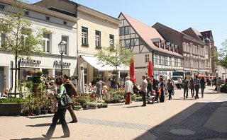 Stnde mit Blumen und sonstigen Pflanzen