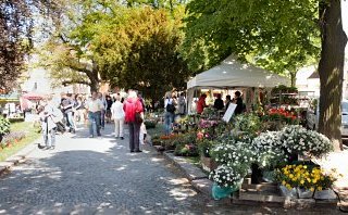 Blumen und Biergarten am Winckelmannplatz