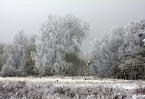 Am Forstrand im Winter 2010