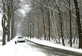 Straße zwischen Arnim und Staffelde