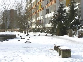 Stendaler Plattenbausiedlung - Stadtsee I