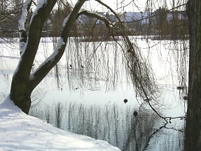 Der Stendaler Stadtsee